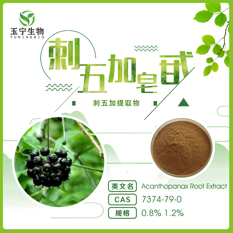 > 刺五加提取物