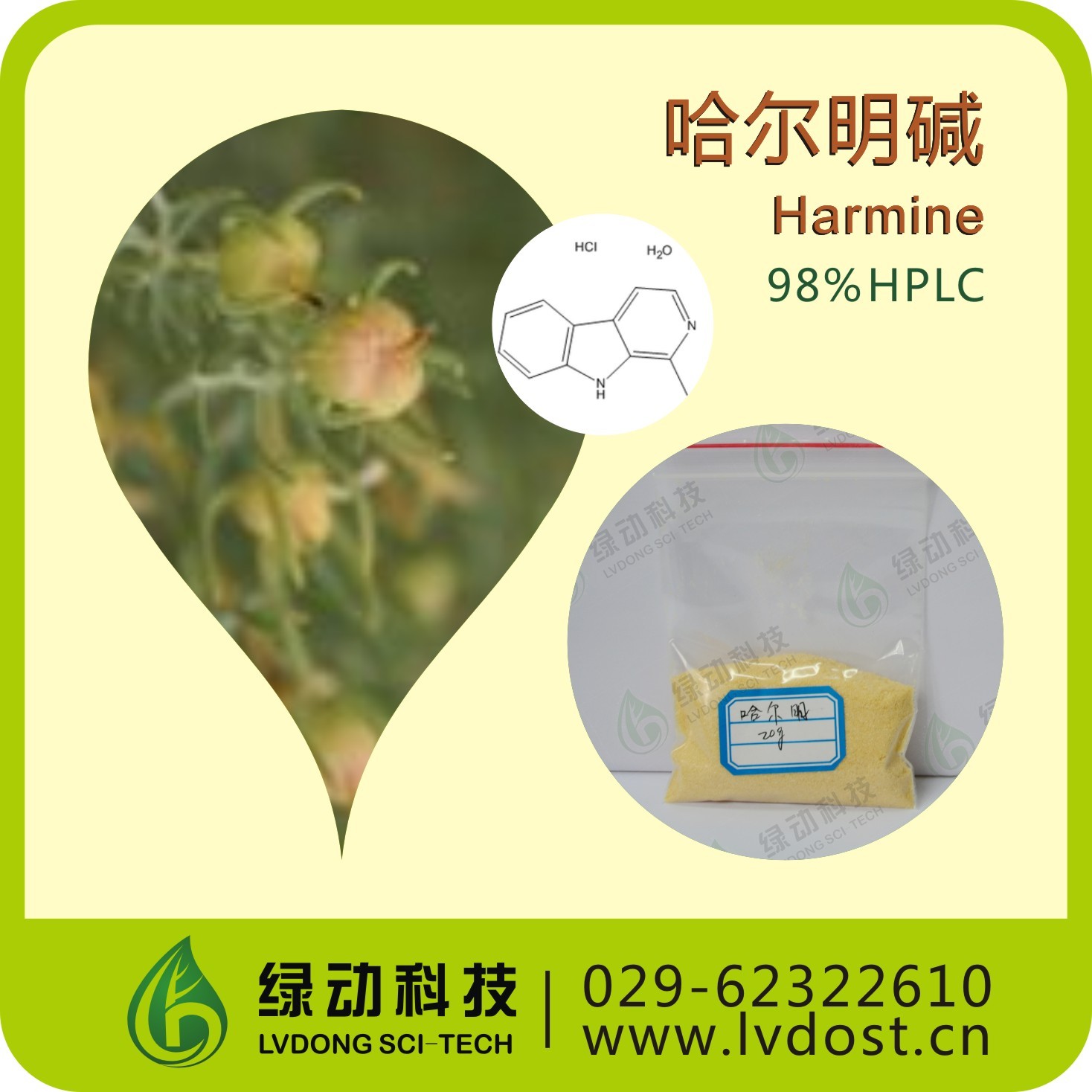 肉叶云香碱