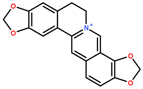 Coptisine 98%