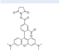 5-羧基四甲基罗丹明琥珀酰亚胺酯