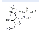 2'-TBDMS-RU