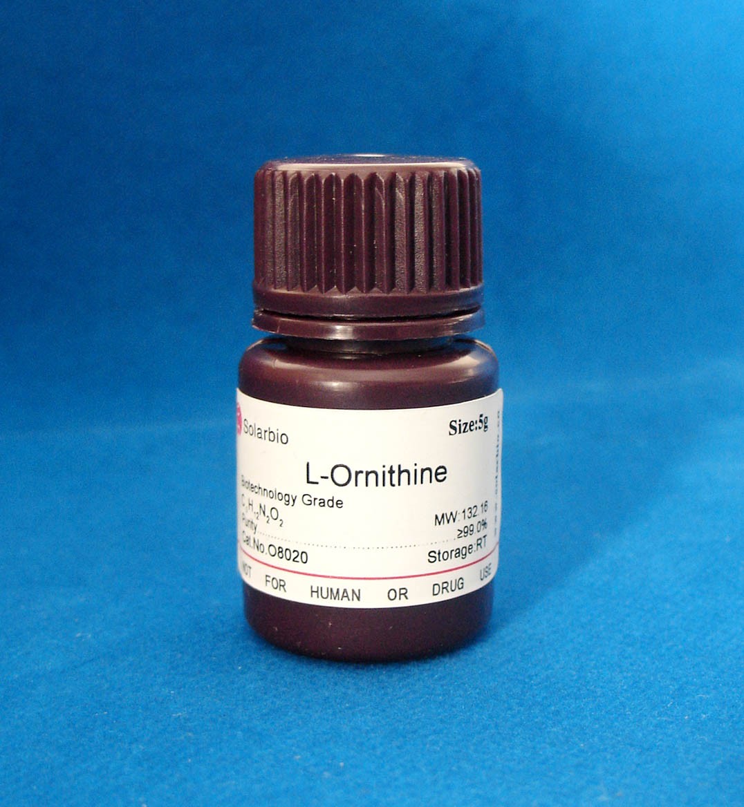 L-ornithine 100%