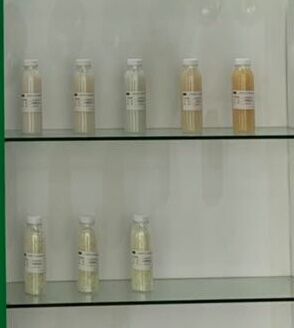 自交联丙烯酸乳液 R-166