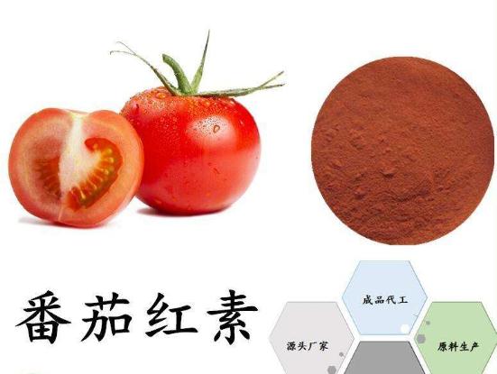 番茄红素 源头工厂 质量保障