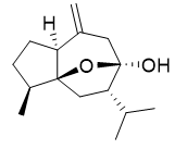  98%HPLC