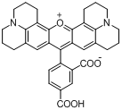 5-羧基-X-罗丹明