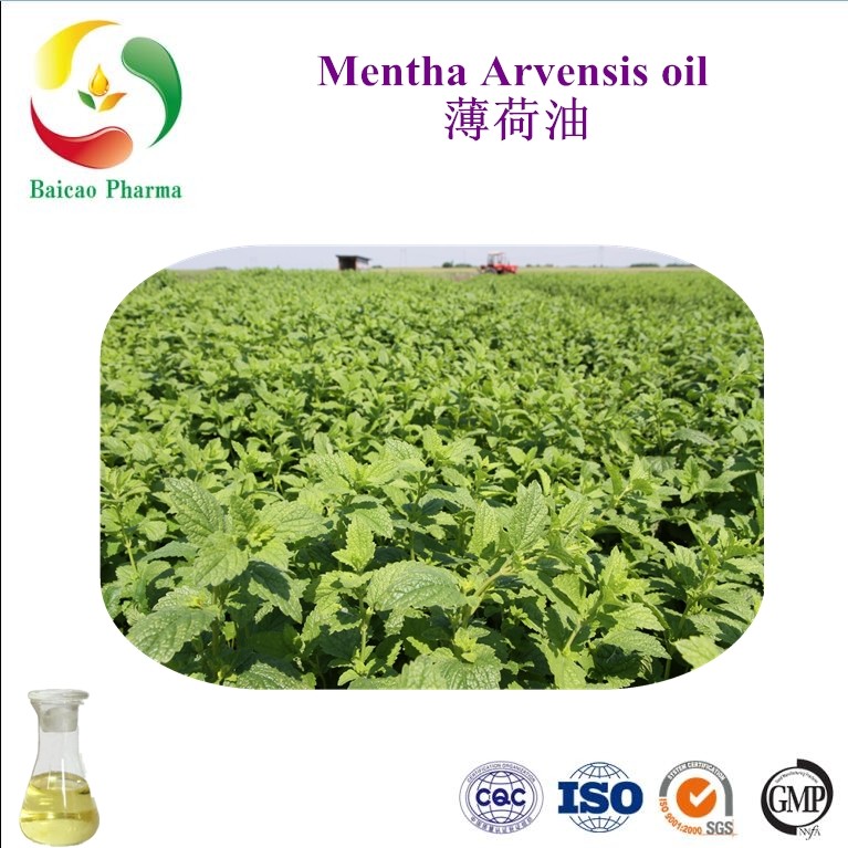 Mentha arvensis flower oil 85%