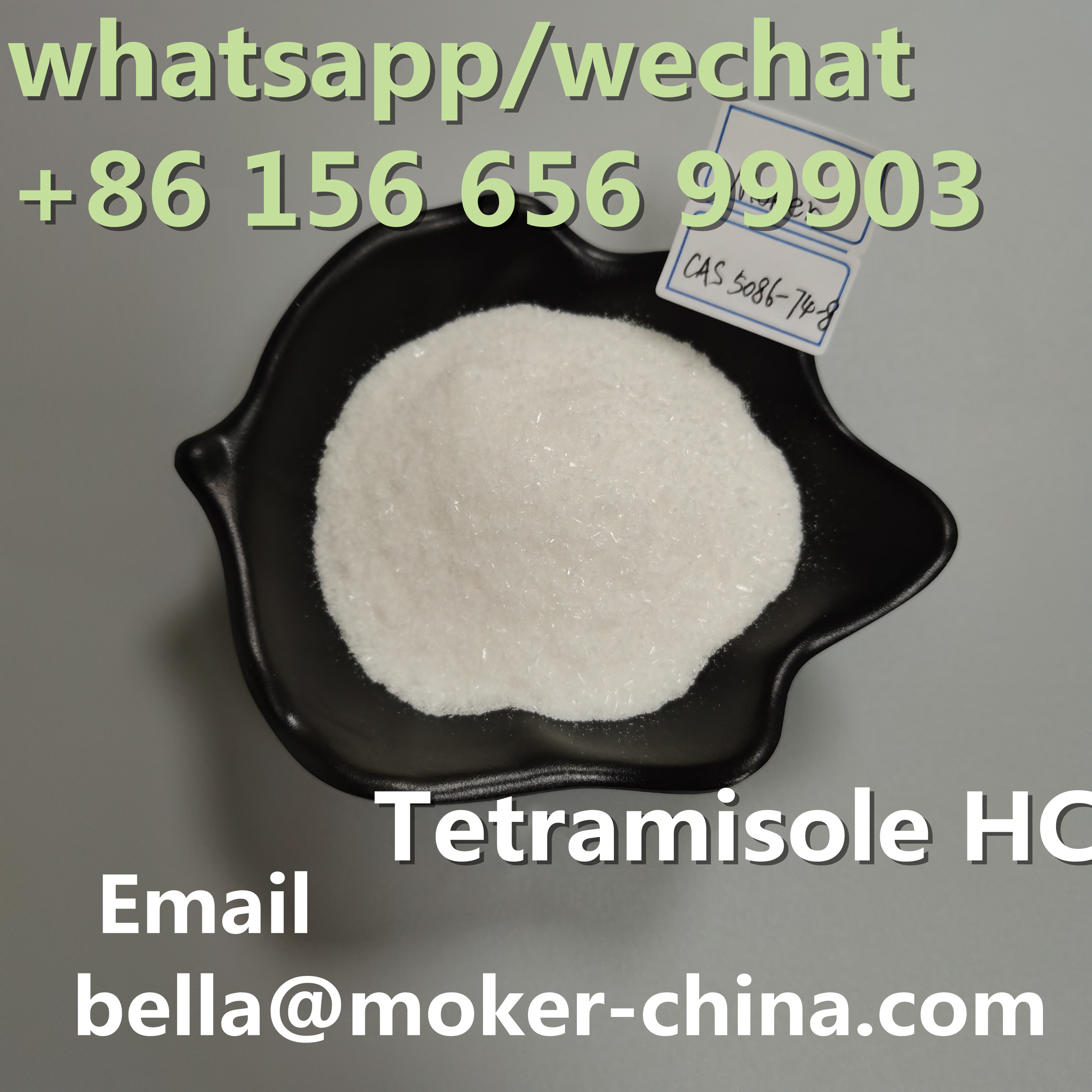 China Made Procaine/Larocaine/Tetracaine/Benzocaine/HCl Raw Powder Pharmaceutical Chemical Materials Pharmaceutical 5086-74-8/59-46-1/136-47-0 Tetramisole HCl 99.8