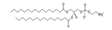 1,2-dihexadecanoyl-sn-glycero-3-phosphoethanolamine 99%