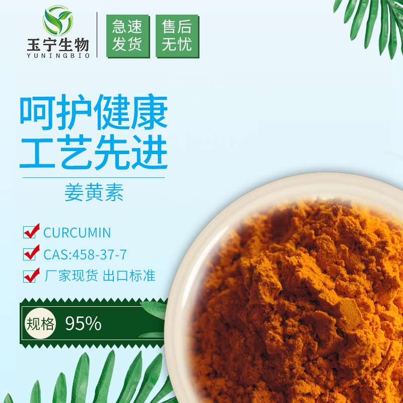 curcumin 95%