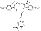 3H-indolium-1-(5-carboxypentyl)-2-[(1E,3E)-3-(1-ethyl-1,3-dihydro-3,3-dimethyl-5-sulfo-2H-indol-2-ylidene)-1-propenyl]-3,3-dimethyl-5-sulfo-, inner salt, succinimidyl ester