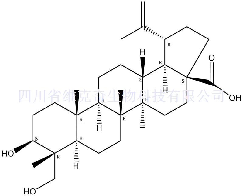 23-羟基白桦酸