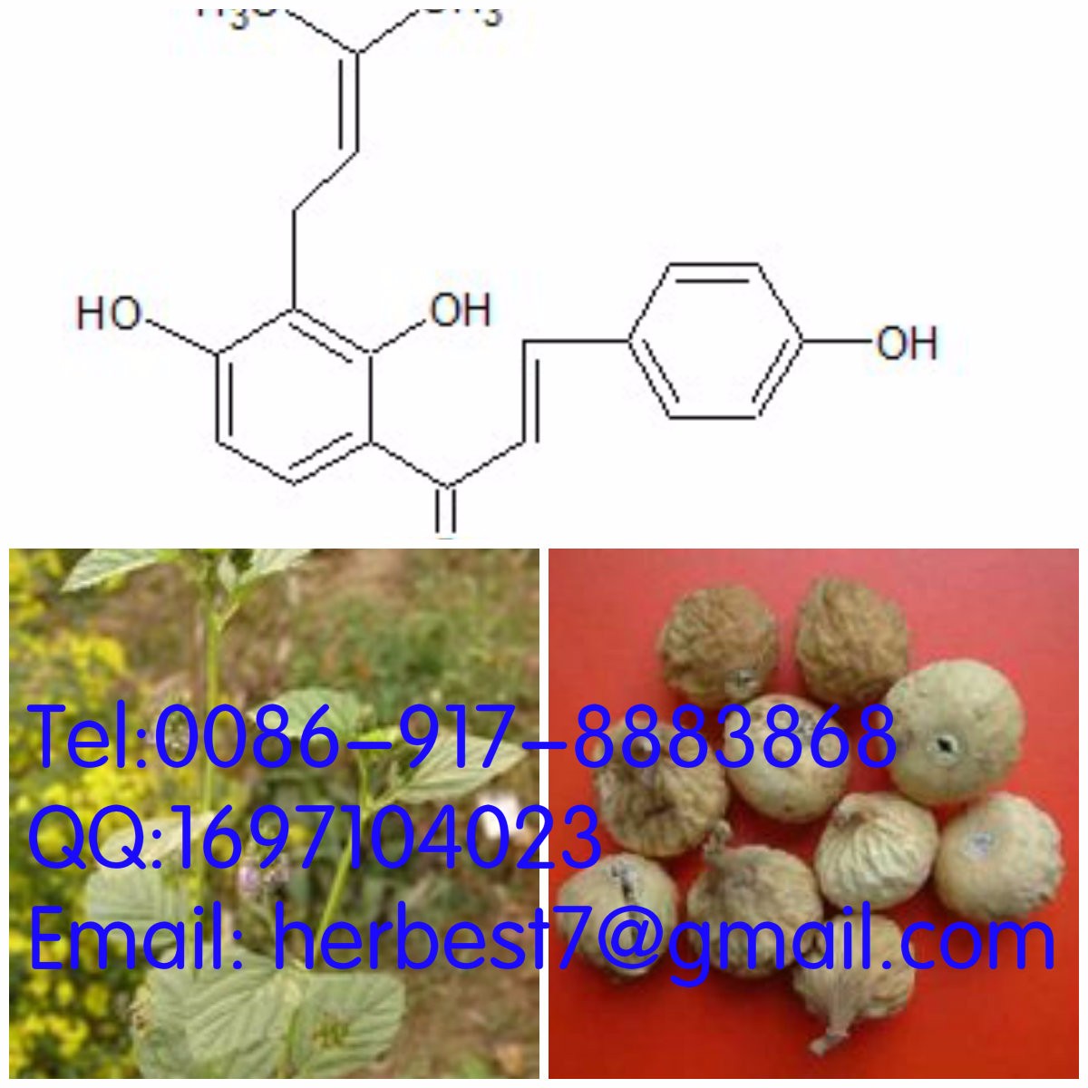 异补骨脂查尔酮