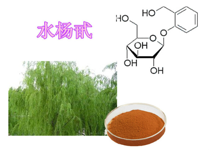 salicin 98%