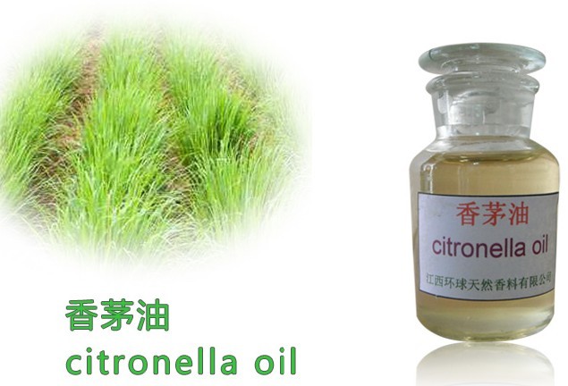 citronella oil 98%