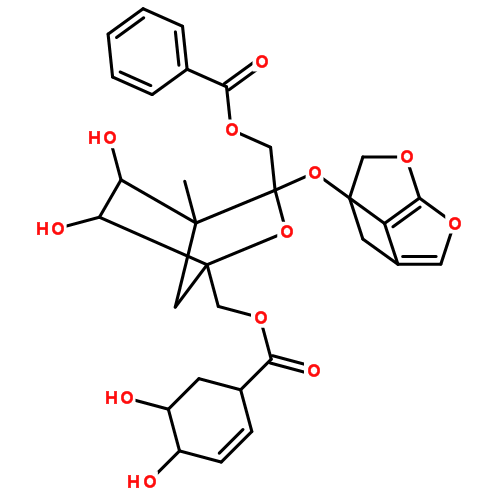 benzoylpaeoniflorin 98%