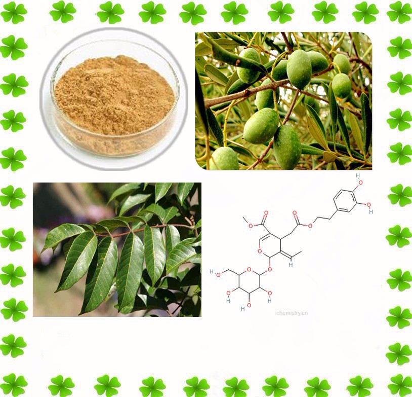 Oleuropein 40%