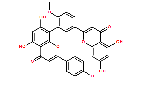 isoginkgetin 98%