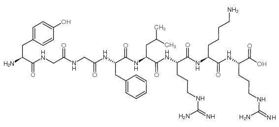 酪氨酰-甘氨酰-甘氨酰-苯丙氨酰-亮氨酰-精氨酰-赖氨酰-精氨酸