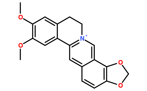 Epiberberine 98%