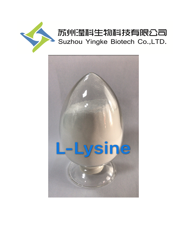 L-Lysine 99