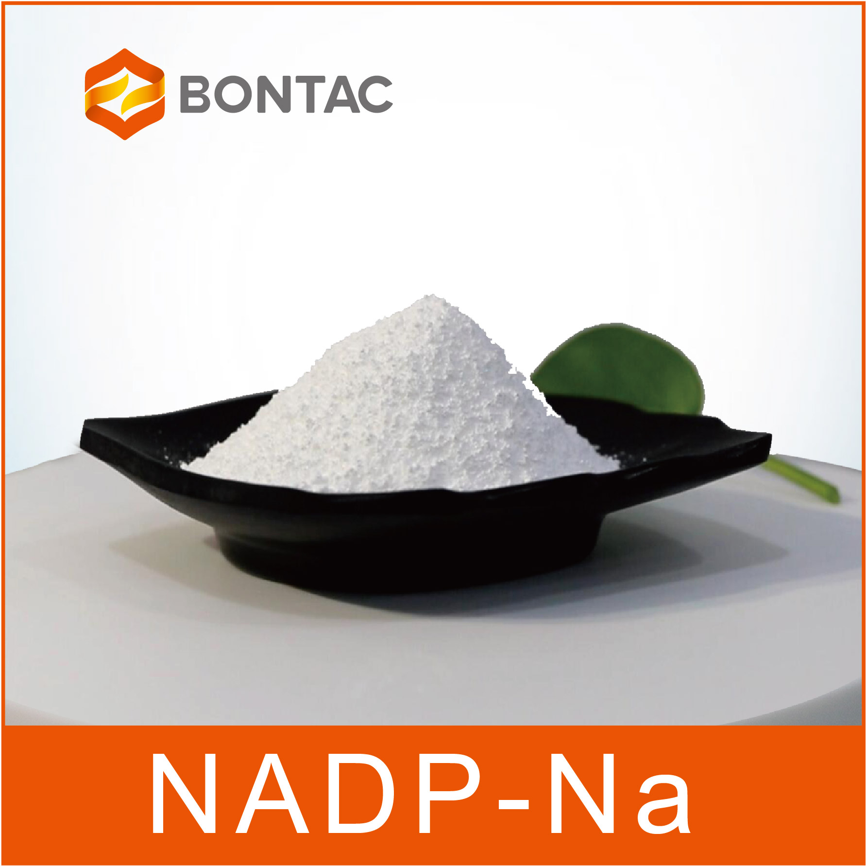 -NICOTINAMIDE ADENINE DINUCLEOTIDE SODIUM SALT 95%