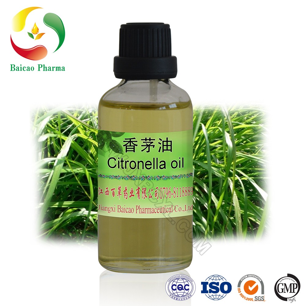 citronella plant essential oil 99%