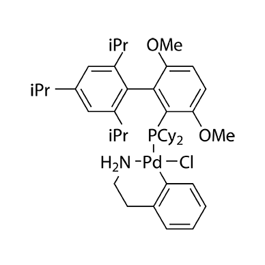 BrettPhos PdG1 98.3